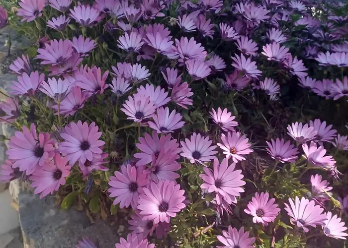 Appartement Two-bedroom With Sea View A1 Trogir